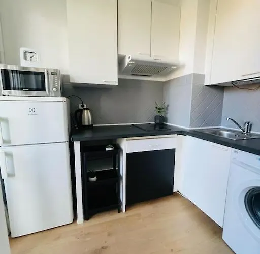 T2 Carre Or Nice Rue Pietonne